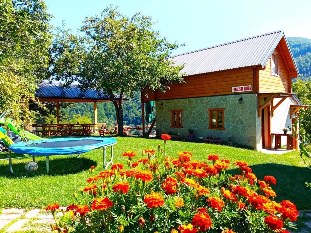 Kraljska Koliba - Kralje'S Cottage Andrijevica Exterior photo