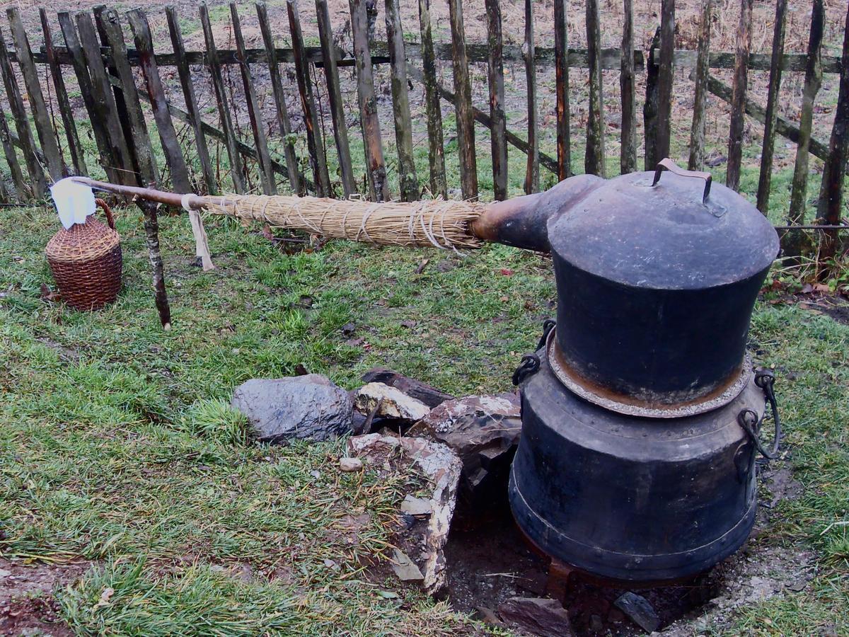 Kraljska Koliba - Kralje'S Cottage Andrijevica Exterior photo