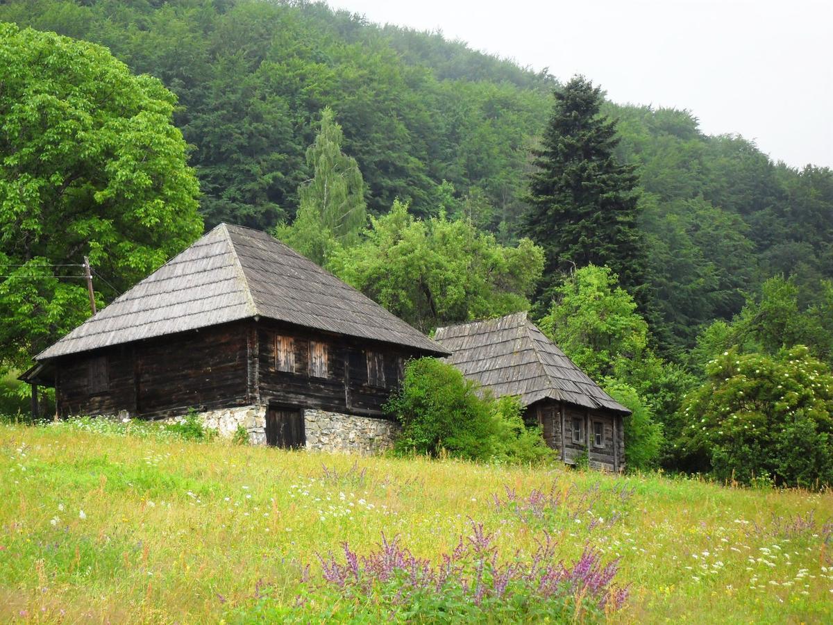 Kraljska Koliba - Kralje'S Cottage Andrijevica Exterior photo